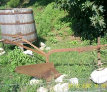 Agriturismo Eremo di San Vitaliano, Casola di Caserta. I vigneti